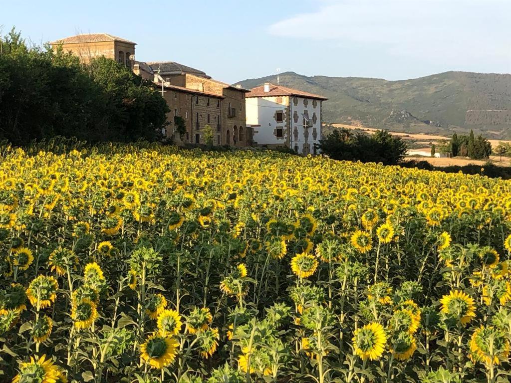 Casa Rural La Sacristana Lacar Exteriér fotografie
